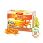Cordyceps Active